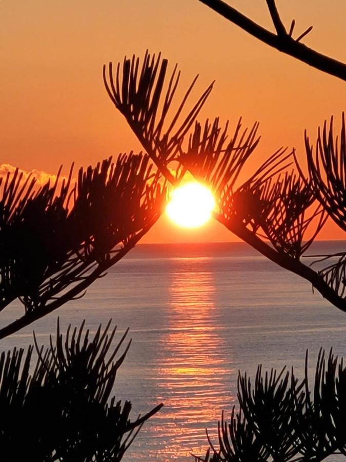 Mansarda Luminosa In Centro Sul Mare - Attic By Sea Lägenhet Sanremo Exteriör bild